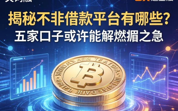 揭秘不法借款平台有哪些？这五家口子或许能解燃眉之急