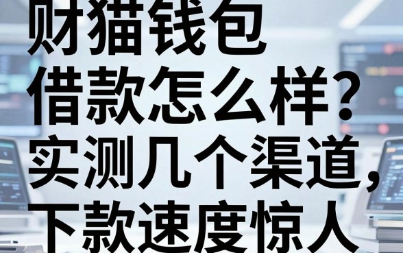 财猫钱包借款怎么样?实测这几个渠道下款速度惊人