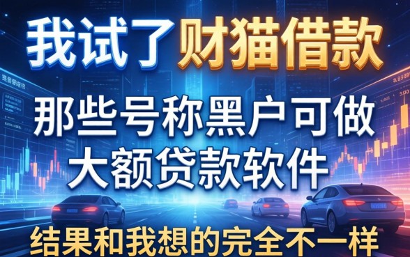 我试了财猫借款和那些号称黑户可做大额贷款软件，结果和我想的完全不一样