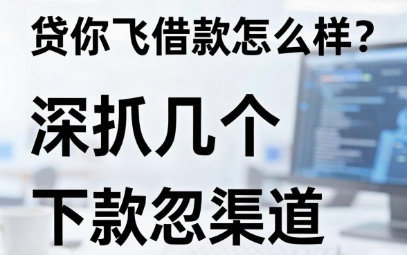 贷你飞借款怎么样？深扒几个容易忽略的下款渠道