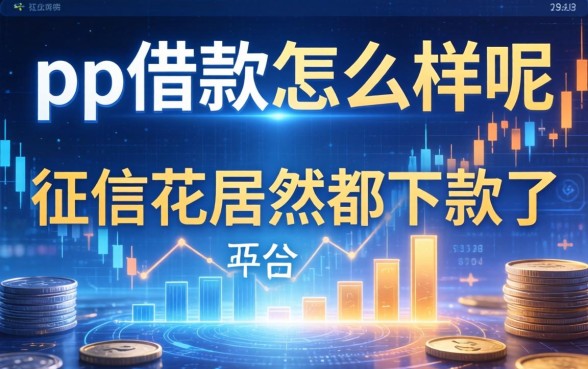 pp借款怎么样呢，征信花居然都下款了的平台