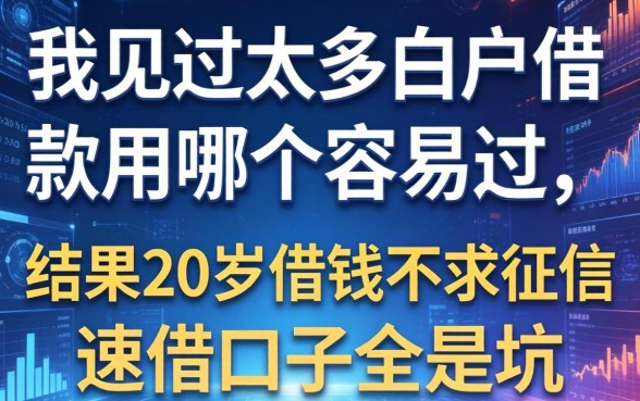 我见过太多白户借款用哪个容易过,结果20岁借钱不求征信速借口子全是坑