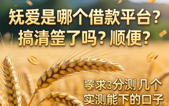 大麦是哪个借款平台？搞清楚了吗，顺便分享几个实测能下的口子