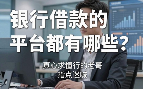 银行借款的平台都有哪些？真心求懂行的老哥指点迷津