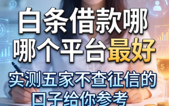 白条借款哪个平台最好,实测五家不查征信的口子给你参考