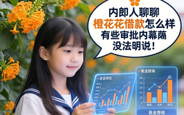 内部人聊聊橙花花借款怎么样，有些审批内幕没法明说