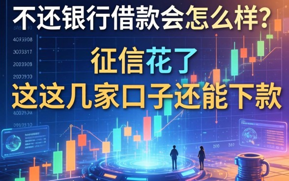 不还银行借款会怎么样？征信花了这几家口子还能下款