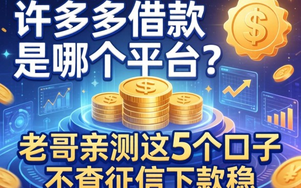 许多多借款是哪个平台？老哥亲测这5个口子不查征信下款稳