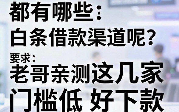都有哪些白条借款渠道呢?老哥亲测这几家门槛低好下款