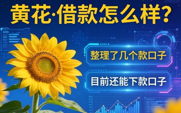 大黄花借款怎么样？整理了几个目前还能下款的口子