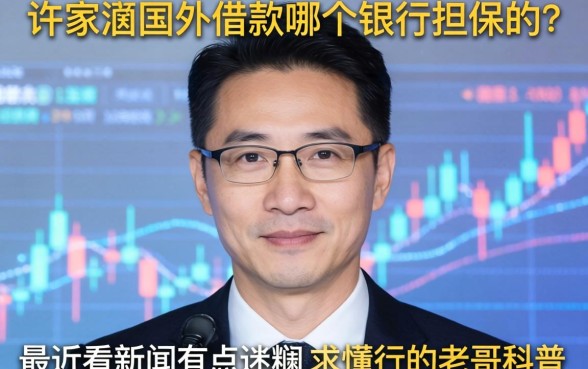 许家印国外借款哪个银行担保的?最近看新闻有点迷糊,求懂行的老哥科普