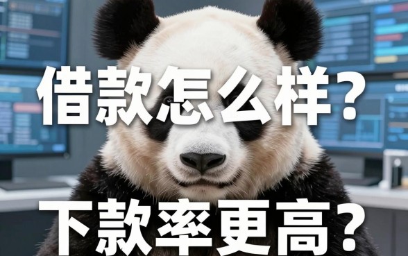 熊猫掌柜借款怎么样?实测这几款下款率更高