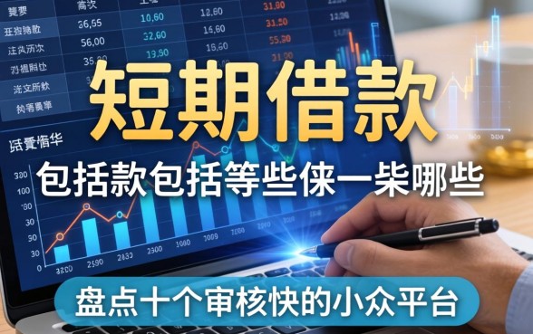 短期借款包括有哪些数据?盘点十个审核快的小众平台