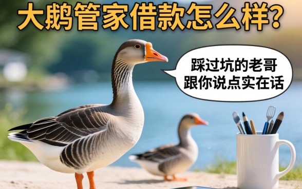 大鹅管家借款怎么样？一个踩过坑的老哥跟你说点实在话