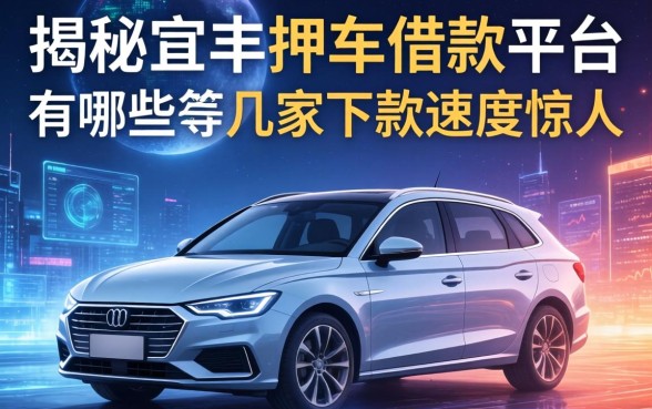 揭秘宜丰押车借款平台有哪些,这几家下款速度惊人