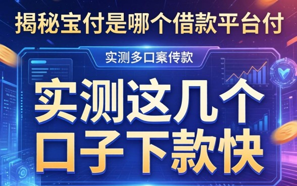 揭秘宝付是哪个借款平台的,实测这几个口子下款快
