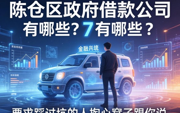 陈仓区政府借款公司有哪些?一个踩过坑的人掏心窝子跟你说