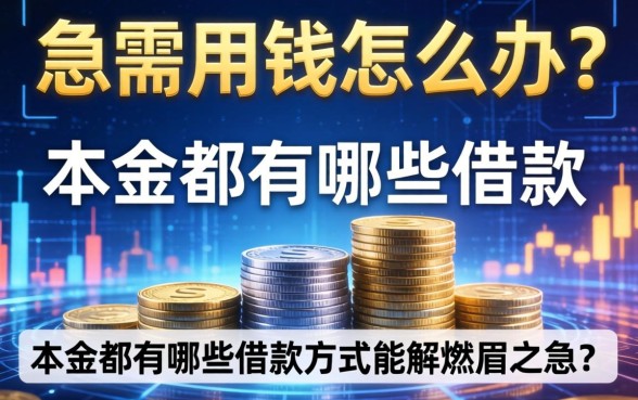 急需用钱怎么办?本金都有哪些借款方式能解燃眉之急?