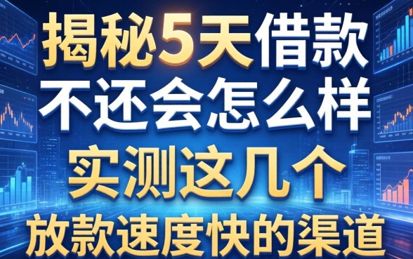 揭秘5天的借款不还会怎么样，实测这几个放款速度快的渠道
