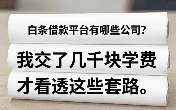 白条借款平台有哪些公司?我交了几千块学费才看透这些套路