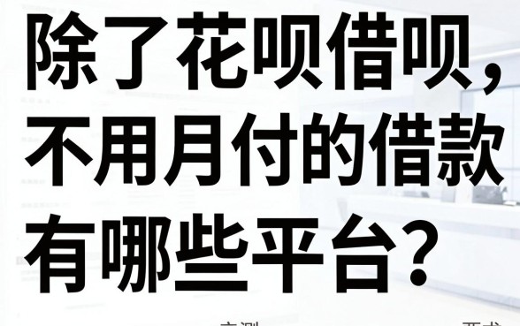 除了花呗借呗，不用月付的借款有哪些平台？老哥亲测这五个口子
