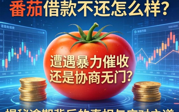 大番茄借款不还怎么样？遭遇暴力催收还是协商无门？揭秘逾期背后的真相与应对之道