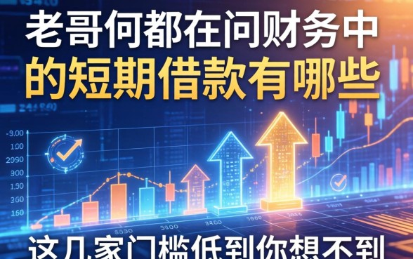 老哥们都在问财务中的短期借款有哪些，这几家门槛低到你想不到