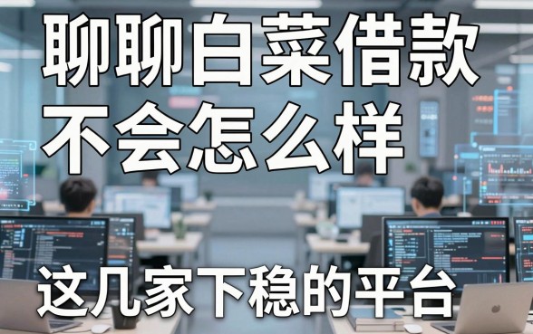 聊聊白菜借款不会怎么样，这几家下款稳的平台你知道吗