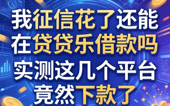 我征信花了还能在贷贷乐借款吗，实测这几个平台竟然下款了