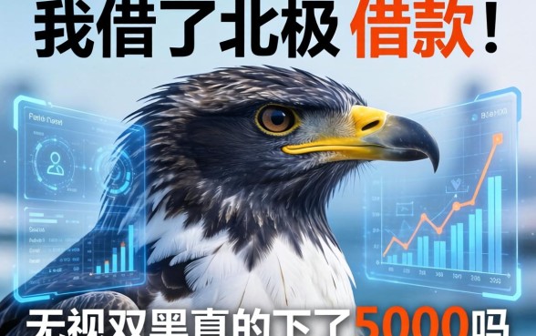 我借了北极鸟借款，无视双黑真的下了5000吗