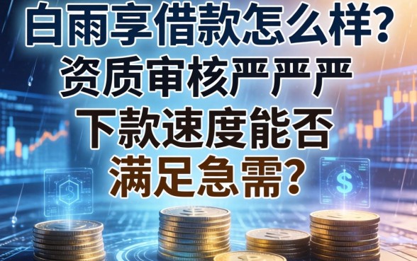 白雨享借款怎么样？资质审核严不严？下款速度能否满足急需？