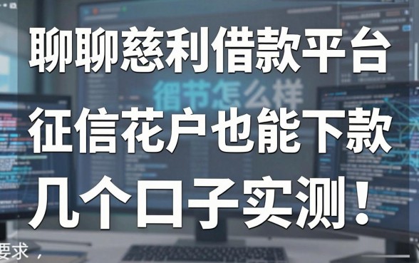 聊聊慈利借款平台怎么样：征信花户也能下款的几个口子实测