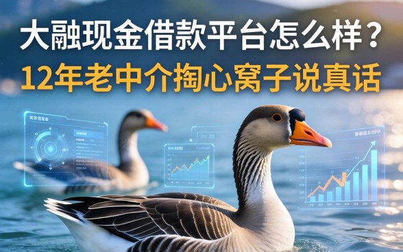 大鹅现金借款平台怎么样？12年老中介掏心窝子说真话