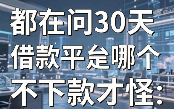 都在问30天借款平台是哪个,这几家不下款才怪