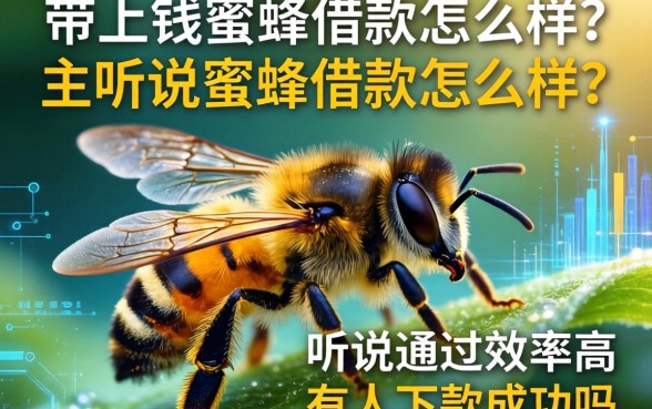 带上钱蜜蜂借款怎么样？听说通过率高，有人下款成功吗？