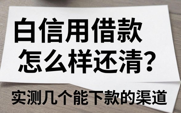 白条信用借款怎么样还清?实测几个能下款的渠道