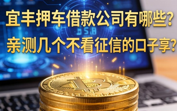 宜丰押车借款公司有哪些？亲测几个不看征信的口子分享