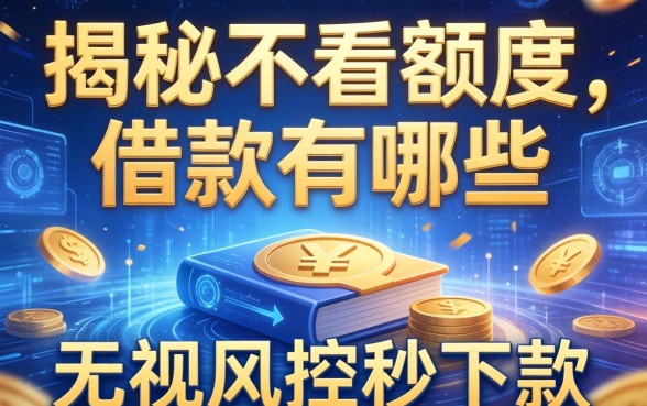 揭秘不看额度的借款有哪些，无视风控秒下款