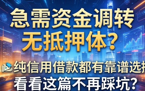 急需资金周转却无抵押物？纯信用借款都有哪些靠谱选择？看完这篇不再踩坑