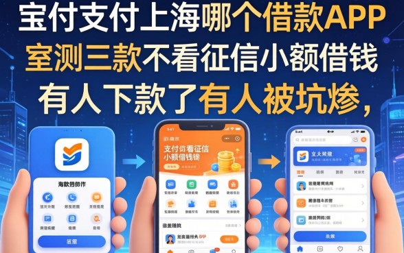 宝付支付上海是哪个借款app，实测三款不看征信小额借钱的软件，有人下款了有人被坑惨