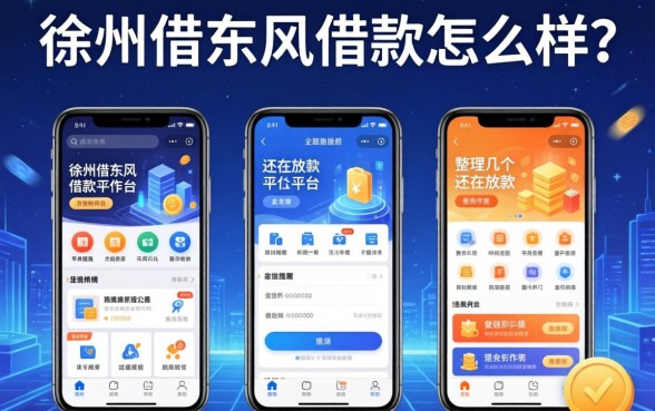 徐州借东风借款怎么样？整理几个还在放款的平台