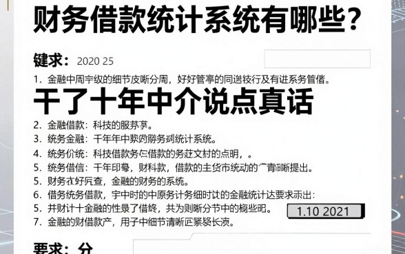 财务借款统计系统有哪些?干了十年中介说点真话