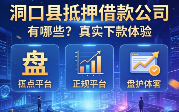 洞口县抵押借款公司有哪些？盘点五个正规平台及真实下款体验