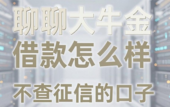 聊聊大牛金服借款怎么样,顺便分享几个不查征信的口子