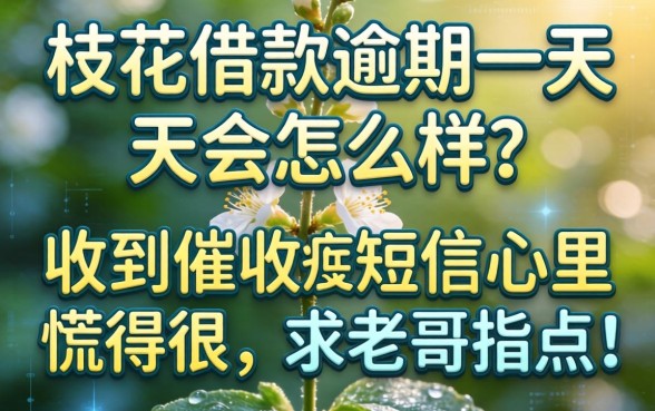 一枝花借款逾期一天会怎么样?收到催收短信心里慌得很,求老哥指点!
