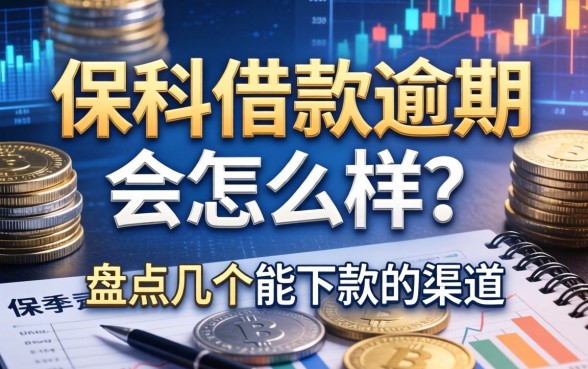 保单借款逾期会怎么样？盘点几个能下款的渠道