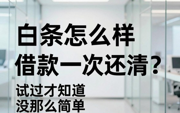 白条怎么样借款一次还清？试过才知道没那么简单