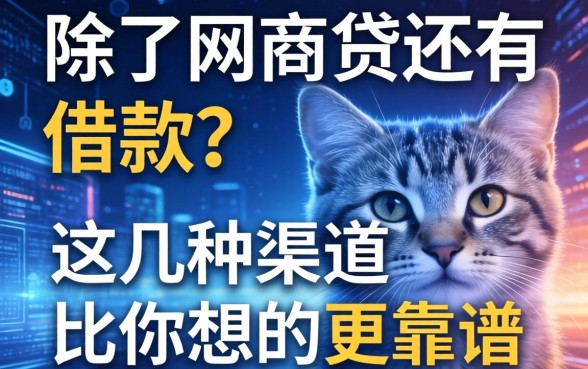 除了网商贷还有哪些借款？这几种渠道比你想的更靠谱