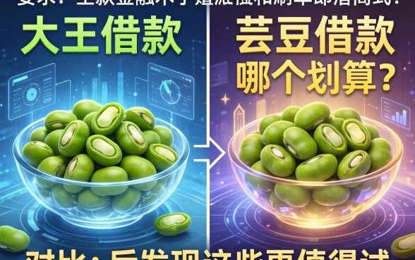 大王借款和芸豆借款哪个划算？对比后发现这些更值得试