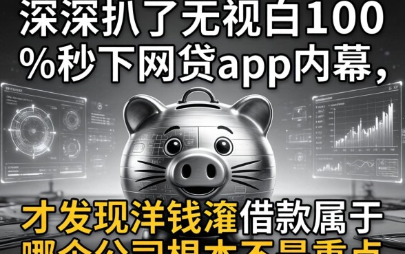 我深扒了无视黑白100%秒下网贷app的内幕，才发现洋钱罐借款属于哪个公司根本不是重点